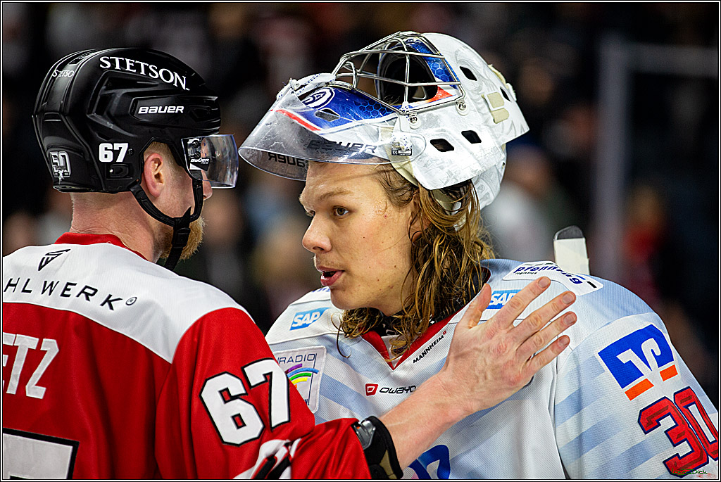 PENNY DEL; Koelner Haie- Adler Mannheim; Koeln, 04.11.2022